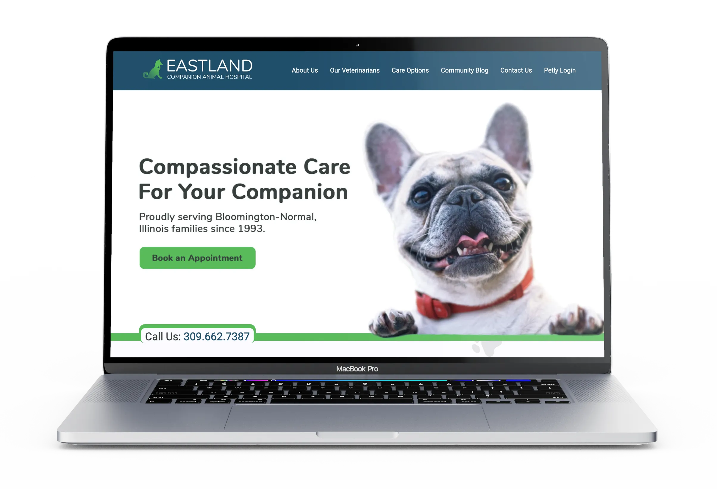 Central Illinois Veterinarian Associates Website on a MacBook Pro