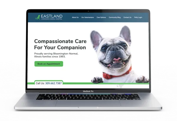 Central Illinois Veterinarian Associates Website on a MacBook Pro