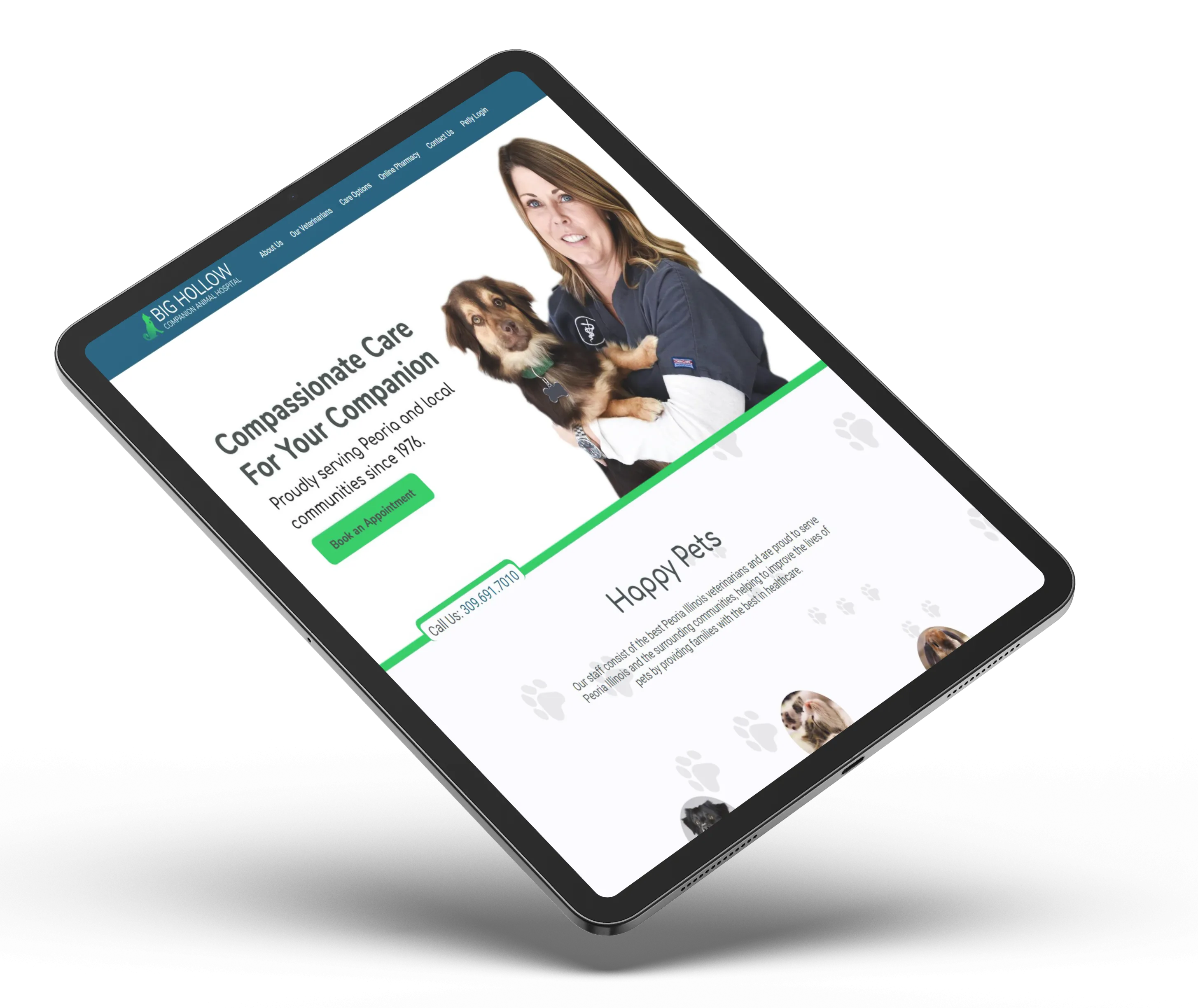 Central Illinois Veterinarian Associates Website